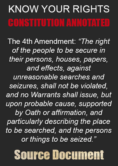 CONSTITUTION ANNOTATED